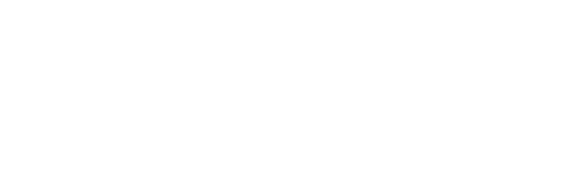 vip transportation for corporate events